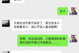 北湖北湖的要账公司在催收过程中的策略和技巧有哪些？